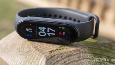 Review of Wearables