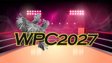 Complete aide on WPC2027 Register And Login